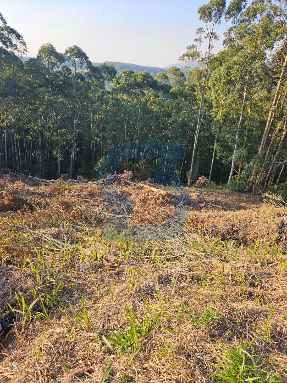O Paraíso te Espera: Terreno Exclusivo com Vistas Panorâmicas em Mairiporã! em Residencial morada do sol, Mairiporã - sp | SoloBR