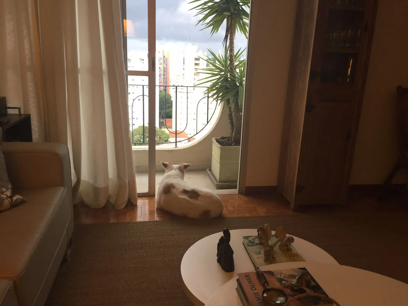 Cobertura Exclusiva em Indianópolis: 154m² de Luxo e Conforto com 2 Vagas! em Indianópolis, São paulo | SoloBR